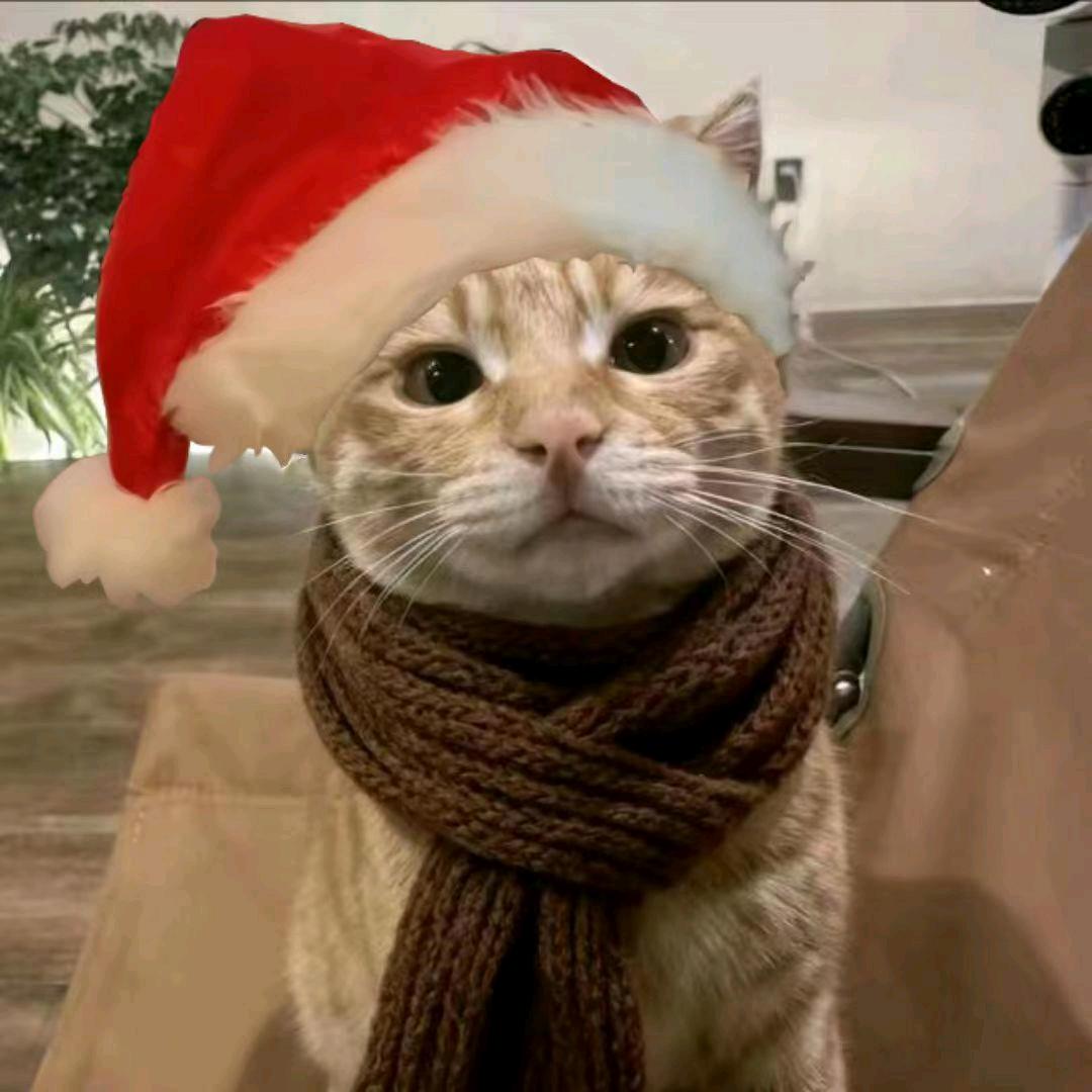 拾叶（想装暴力s然后把m往死里抽版）