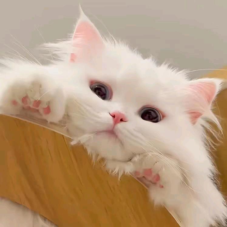 澪