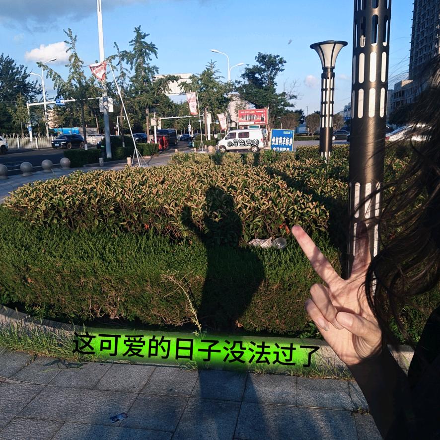 山东区域阿里渠道小二