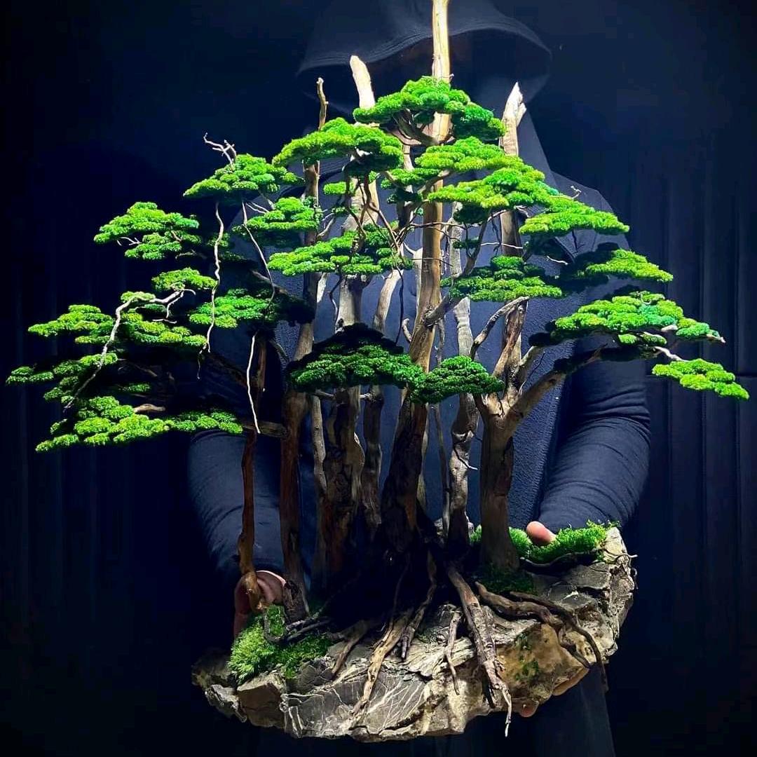植卓景观设计