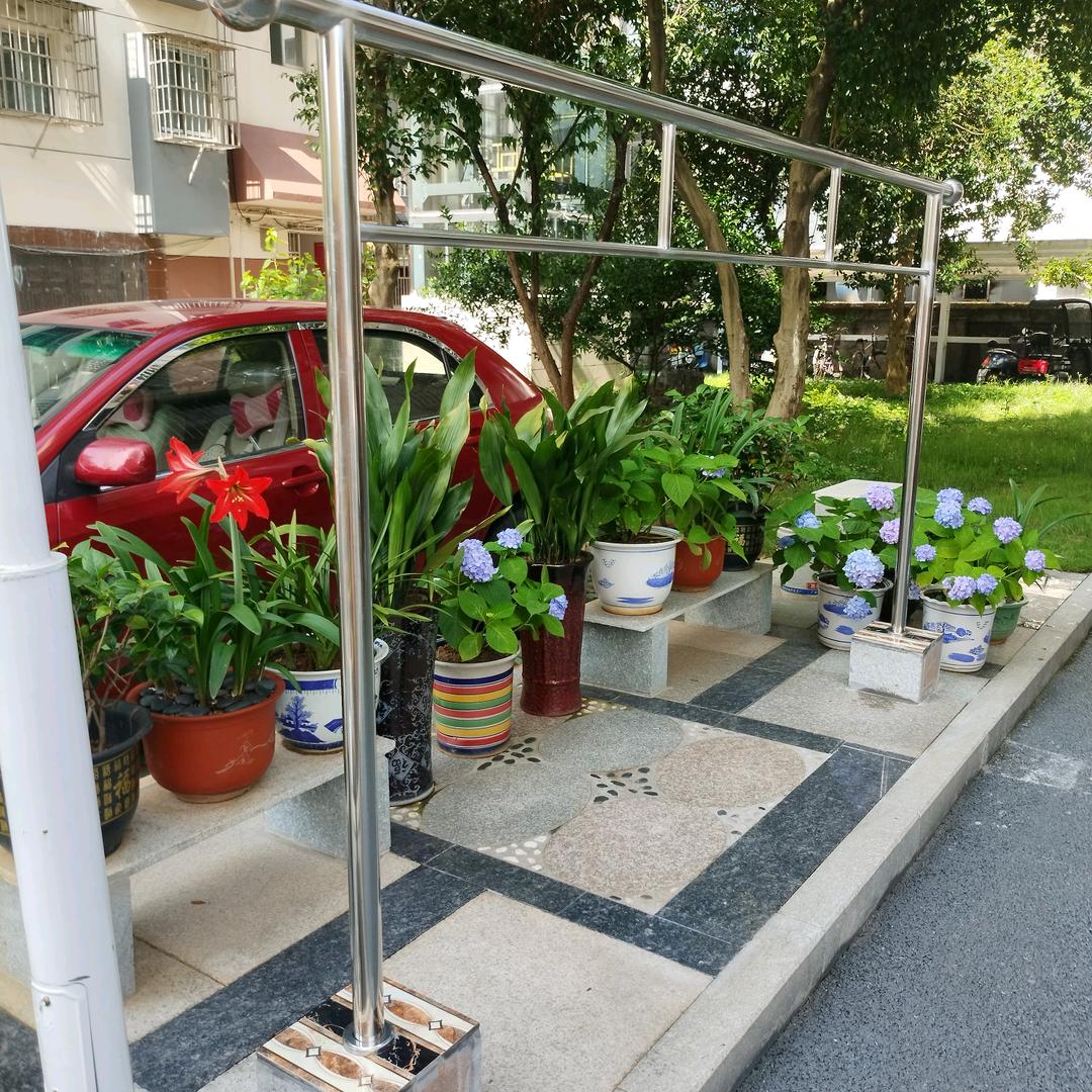 指尖🌹🌹上的承诺🌺🌺