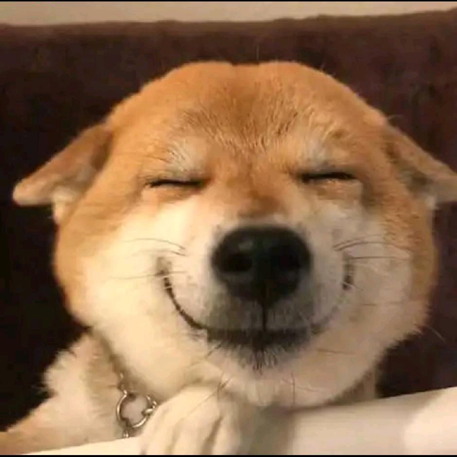 安俞