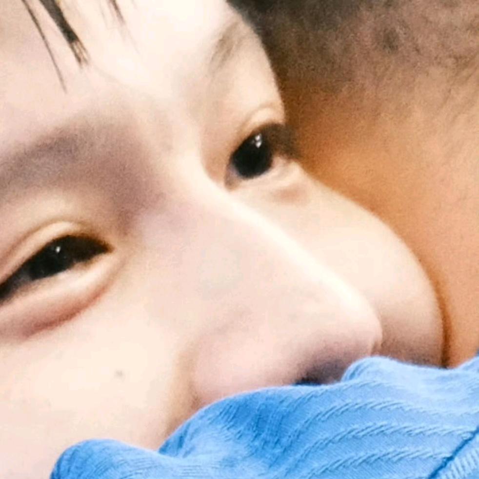 小鱼追剧