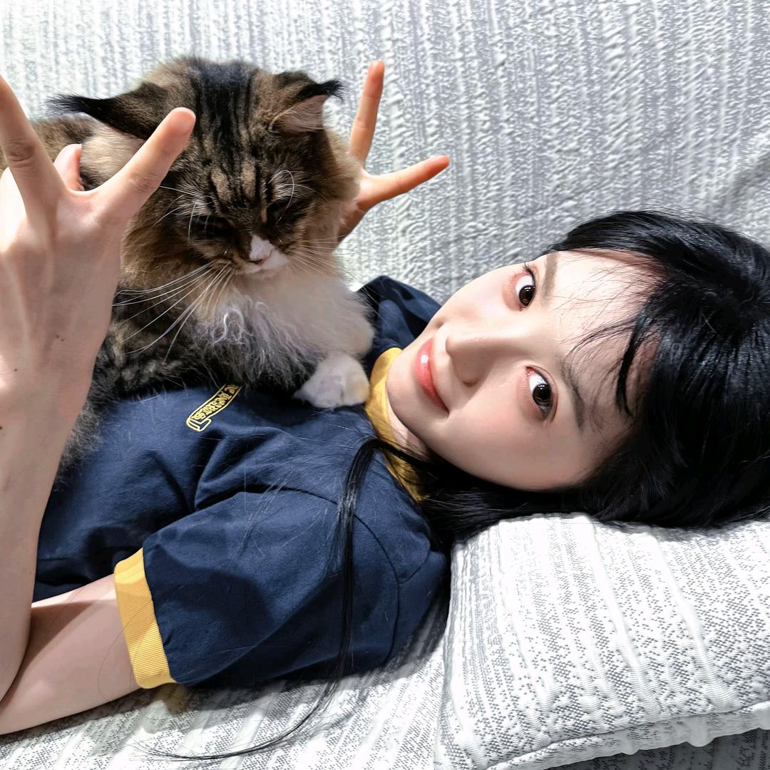 蛮力的仙女