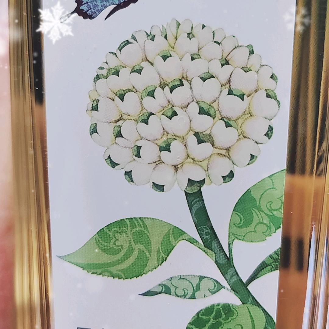 军哥