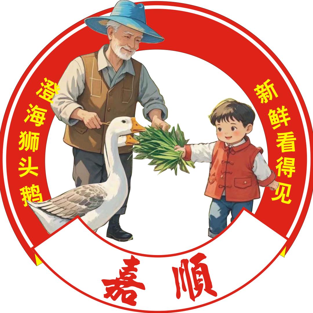 嘉顺正宗澄海狮头鹅