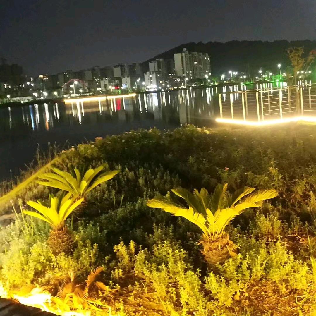 寻找有缘人
