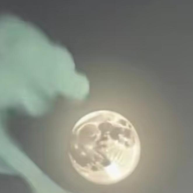 用户4728🍀