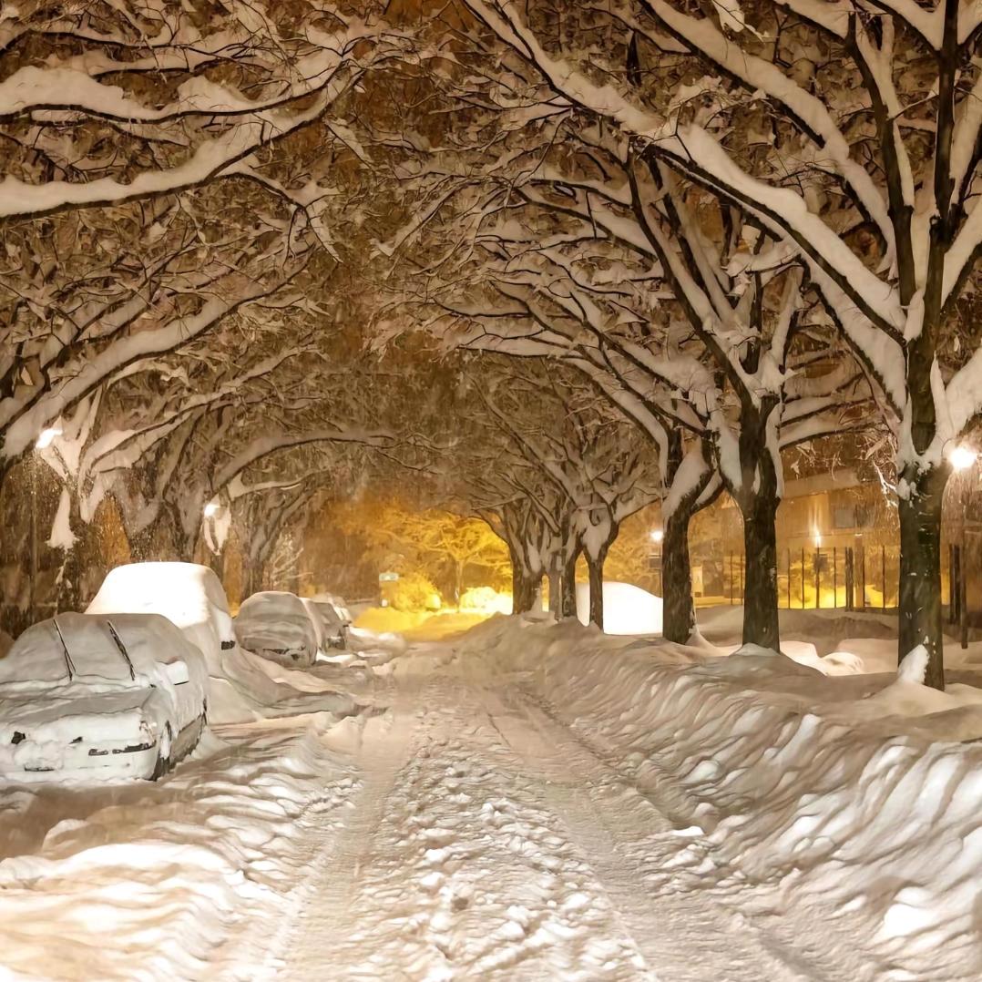 小猫蛋堡鲷鱼烧