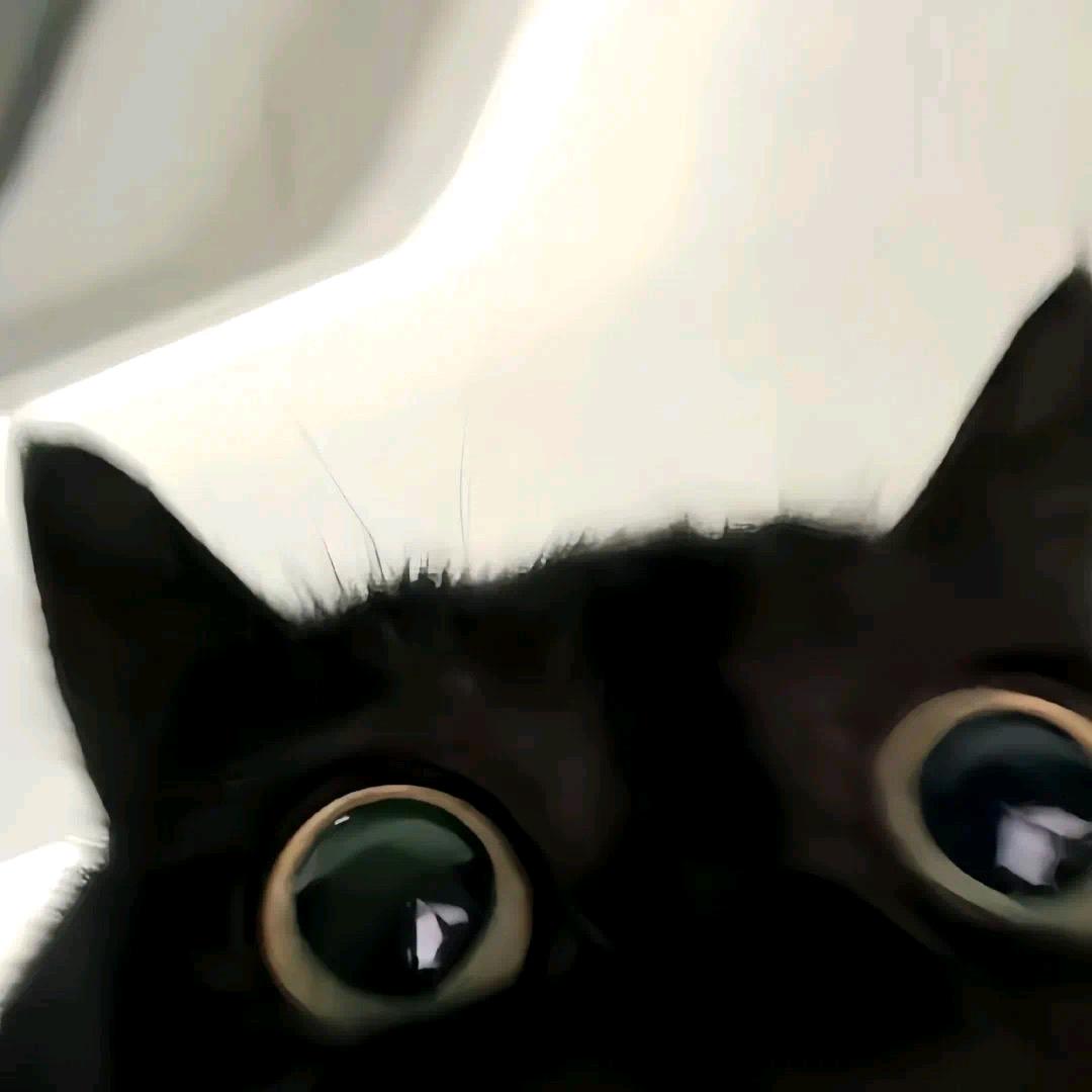 宁姚