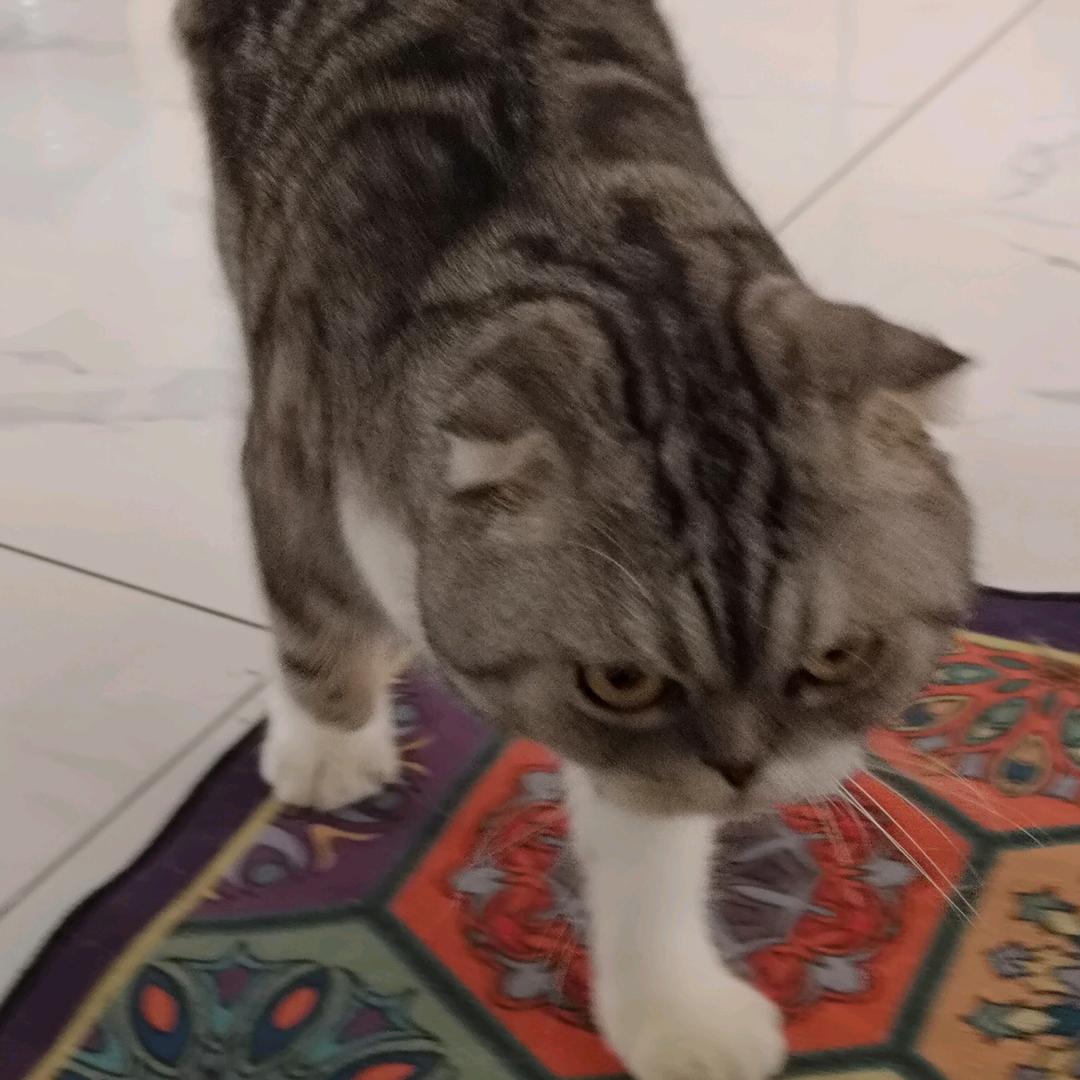 美好便利（东台春溪雅苑店）