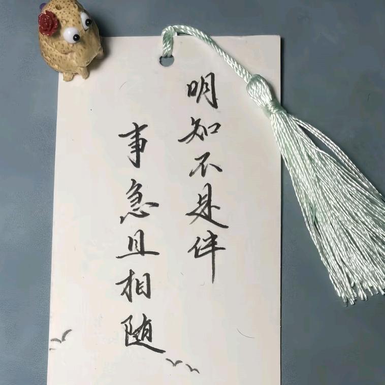 辰子钓鱼总空军