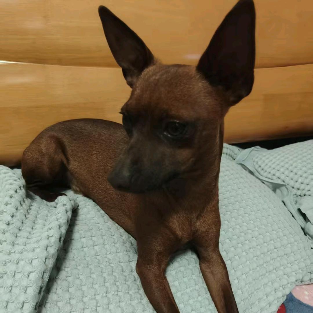 手握🌻风云