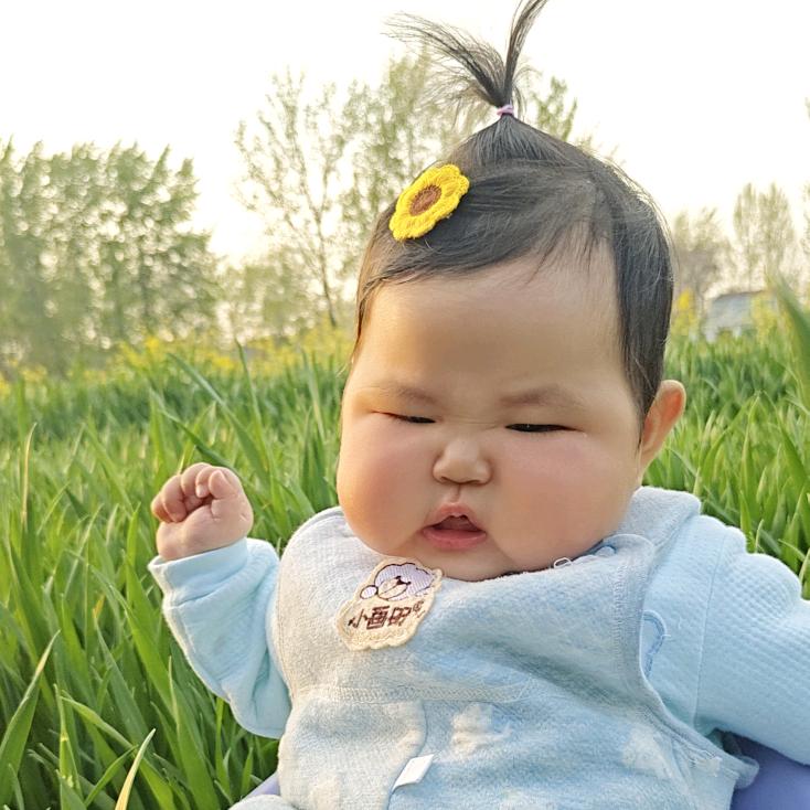 柚柚很爱玩