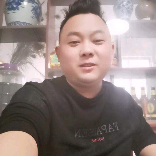 影子龙