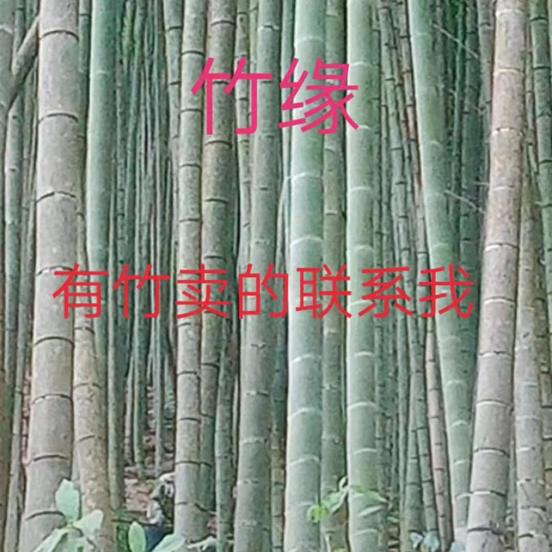 捌月暖阳