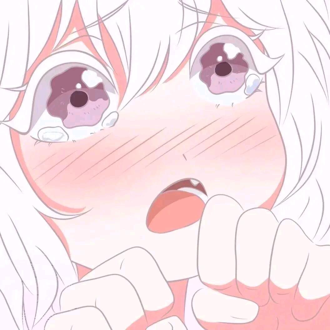小熊ⁱ