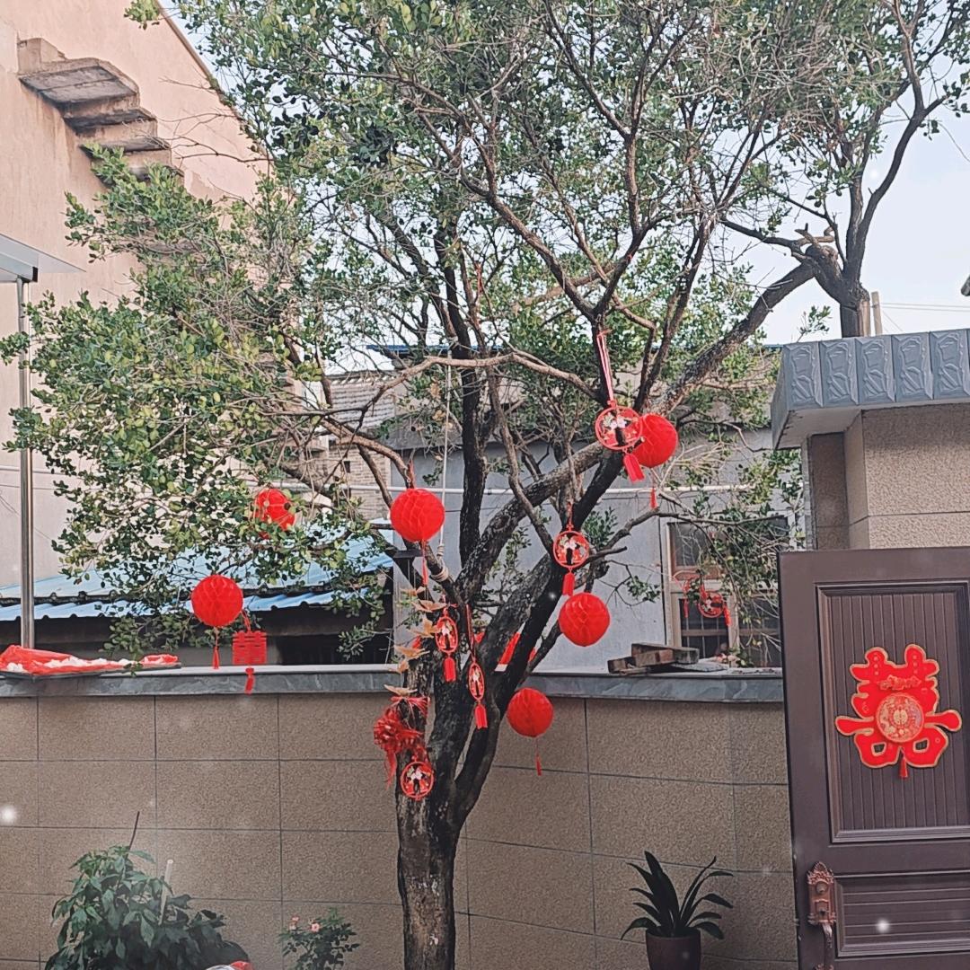 纪春华