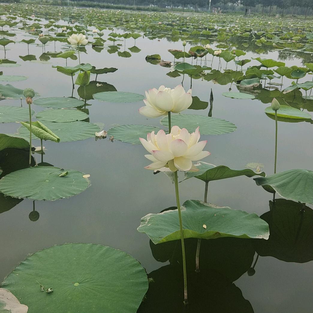 相遇