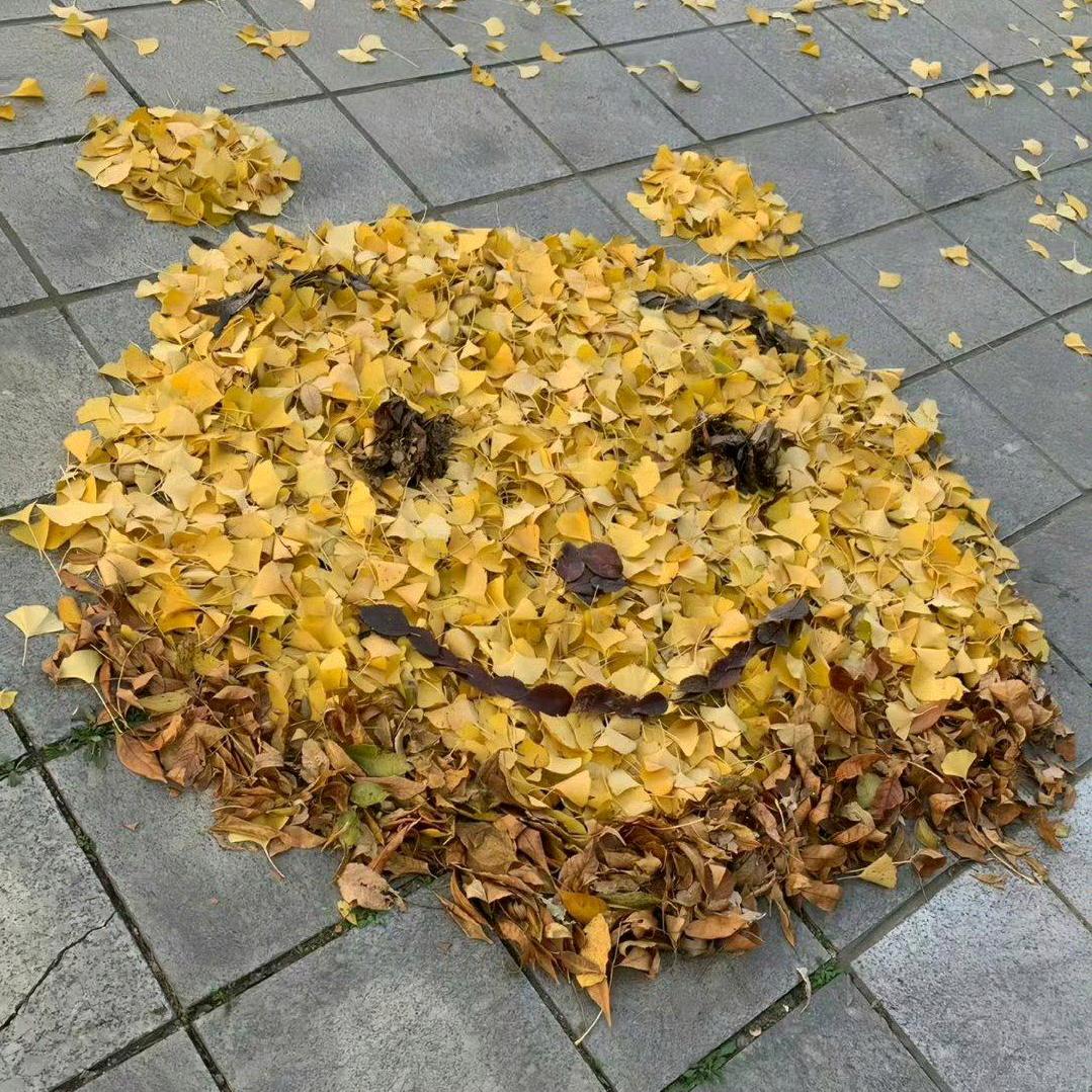 🇨🇳阳光普照