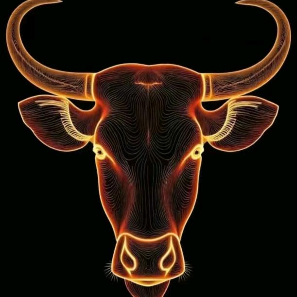 新时代独立男性