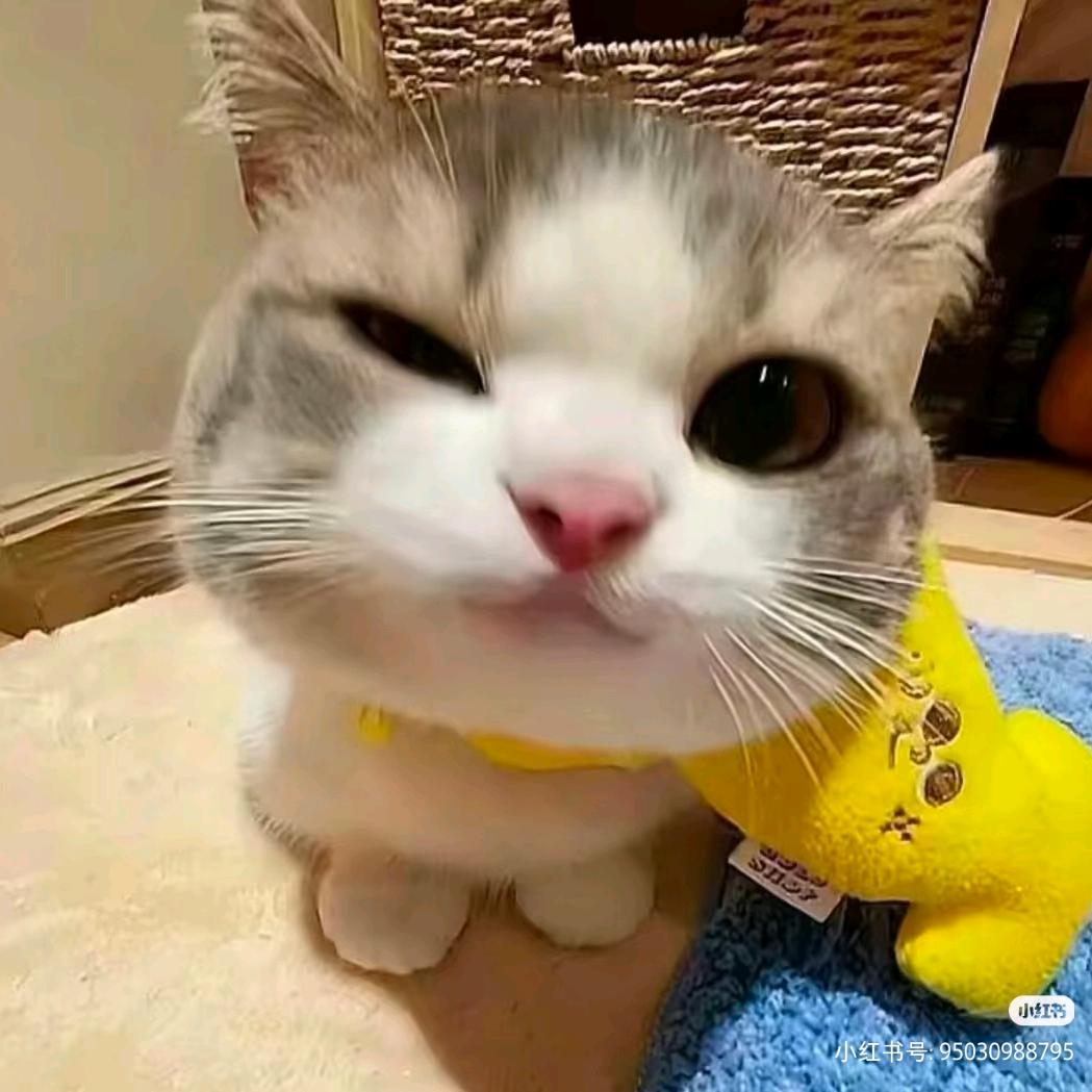 甜ㅤ