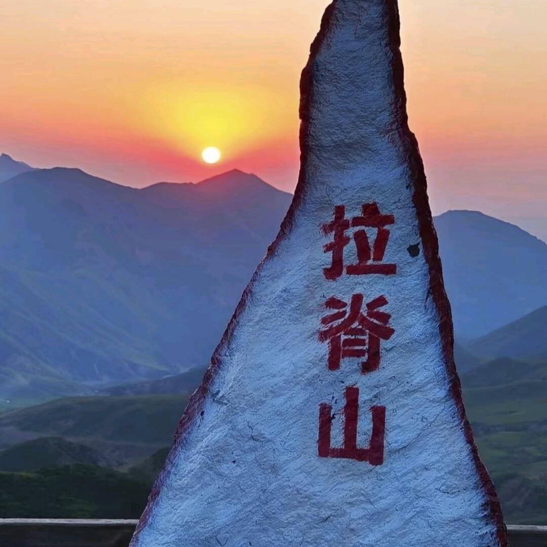 撒尿的小鸟🐦
