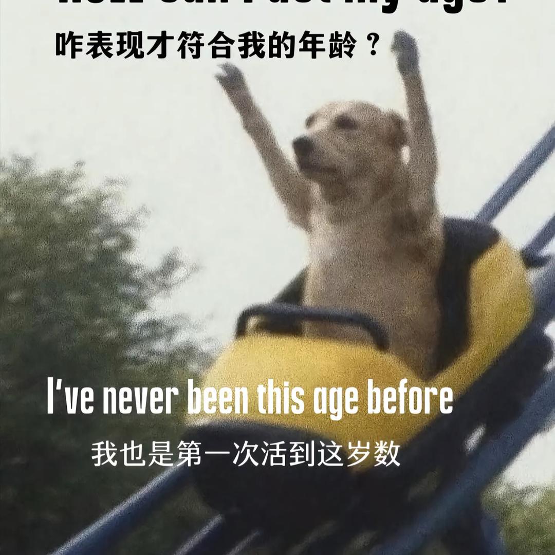 ✨我的ID配享太庙✨