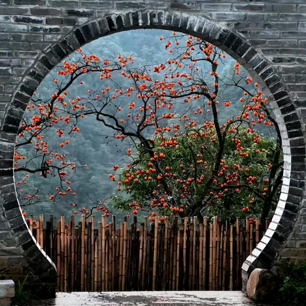 皖北打新艺术家