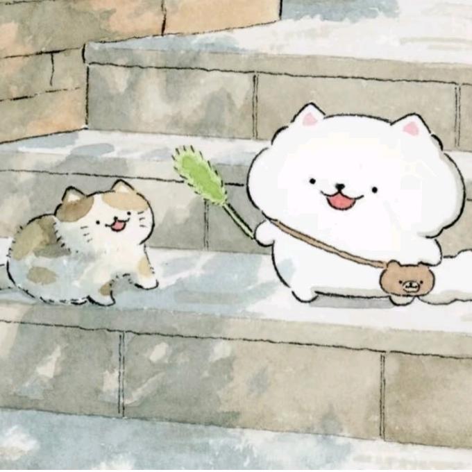 小猫的朋友圈