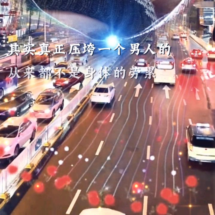 自由飞翔