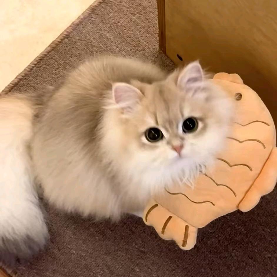 柠檬水