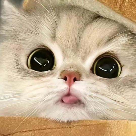 小花头像
