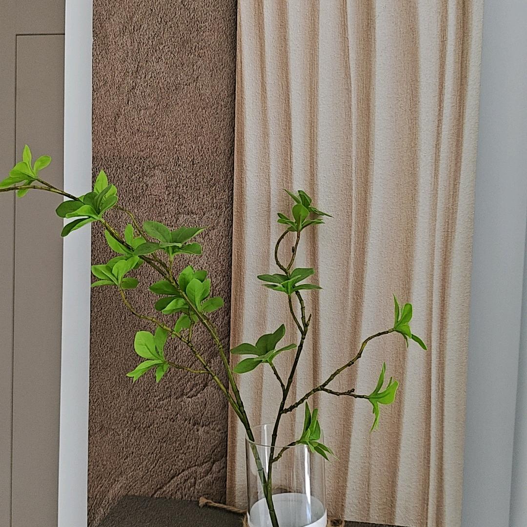 汤山中学小胖子