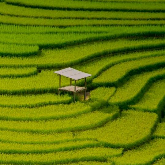 人间@清醒