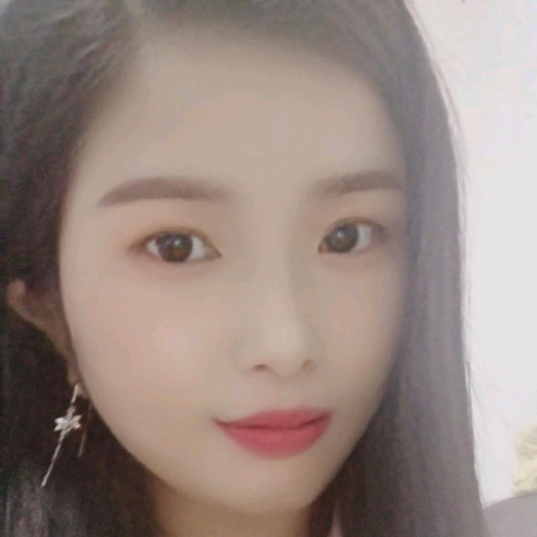 菊宝