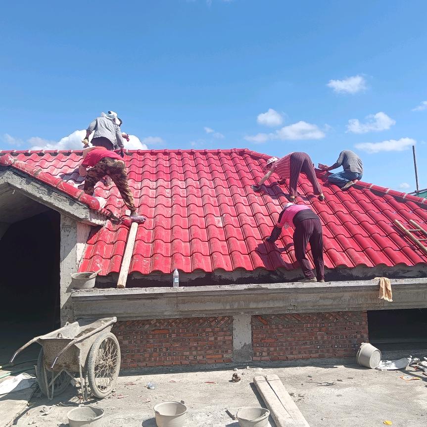 盖屋面的阿卢哥