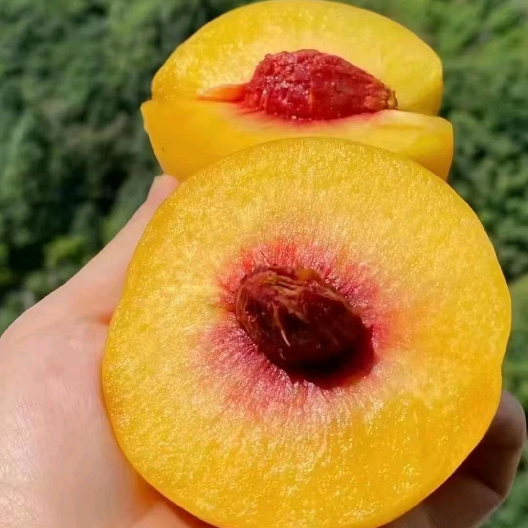 倚楼听雨
