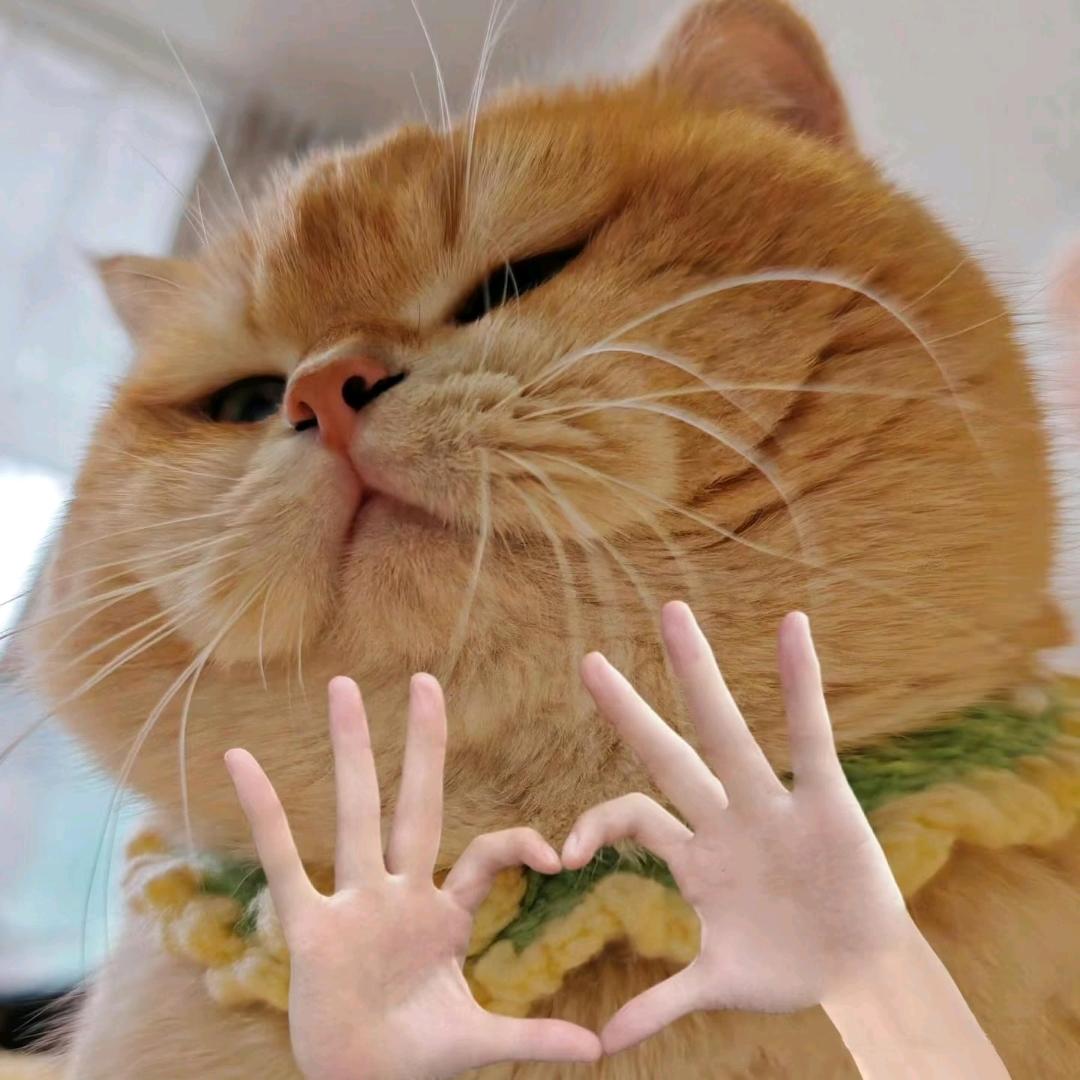 邹邹先生༽༾蛇来运转༼ಡಡ赢者为王