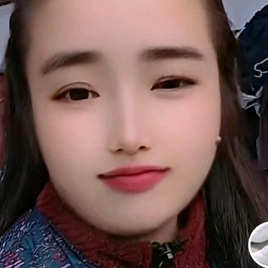 传梅感悟
