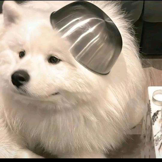 不在头像