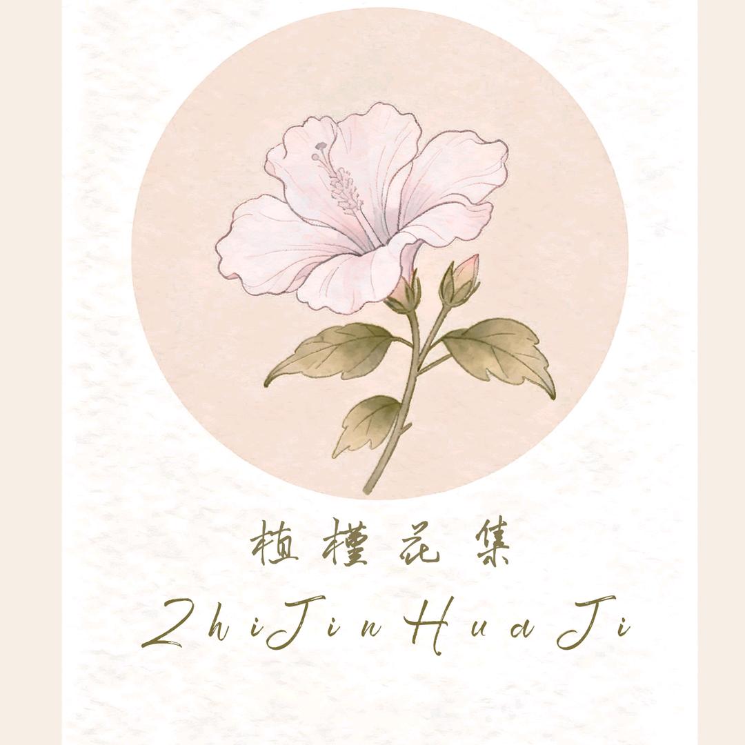 植槿花集家居绿植