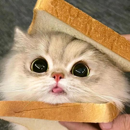 啊罗的日用百货