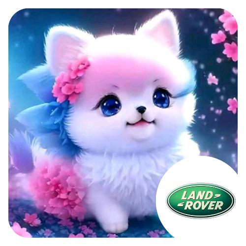 🌹@长垣猫猫哥🌹(朋友多了路好走。
