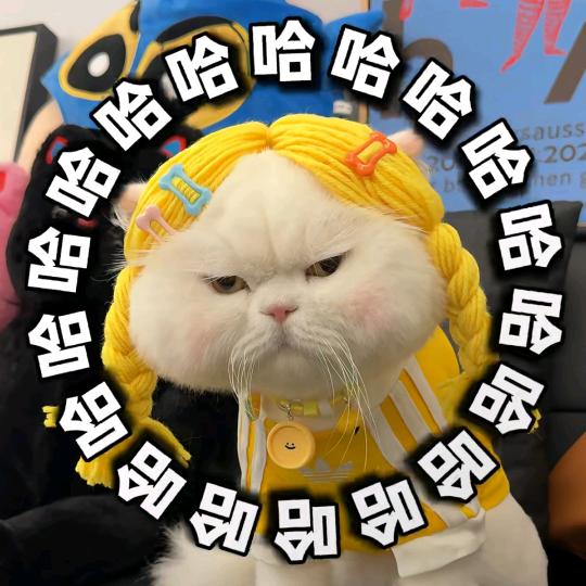 万能的热水