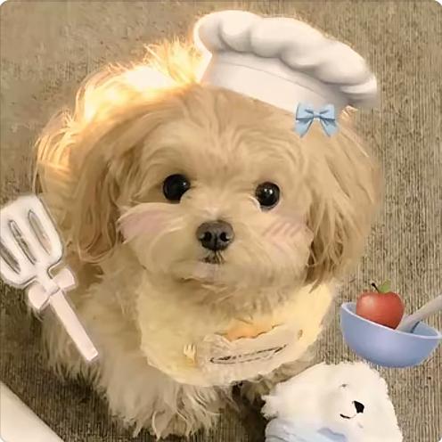 不要失眠