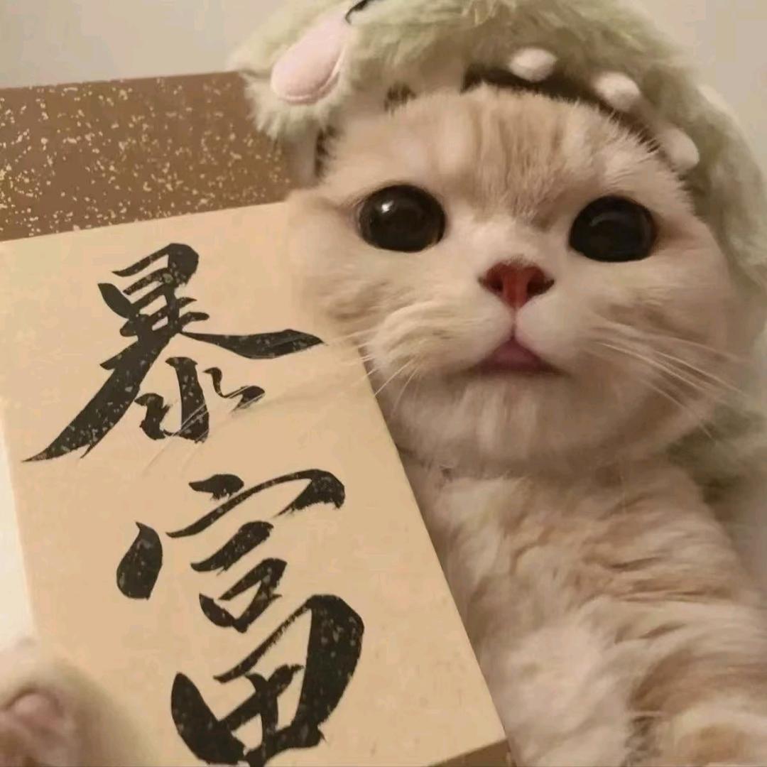 💞日月与卿