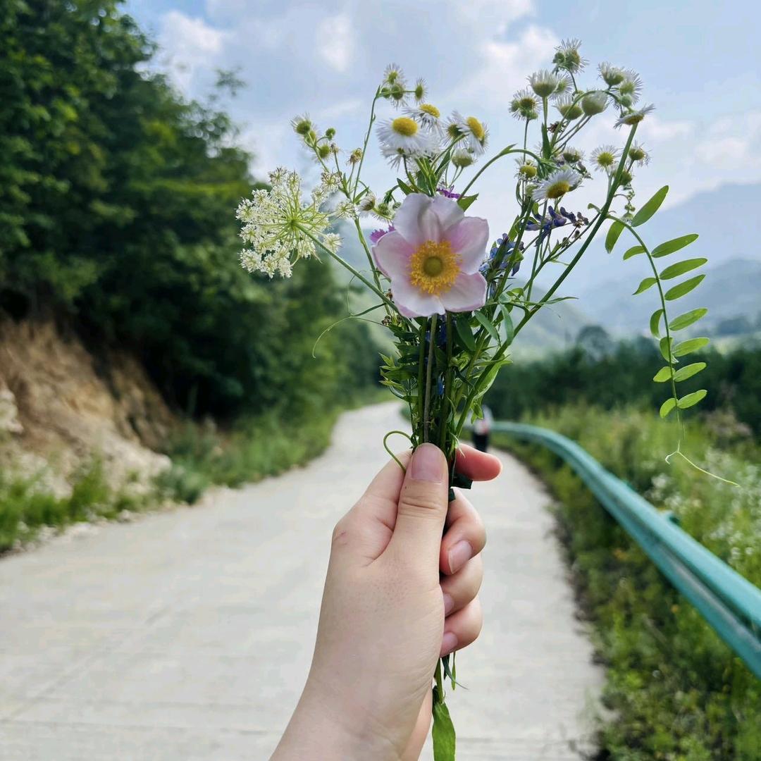 🍀往后余生🌴