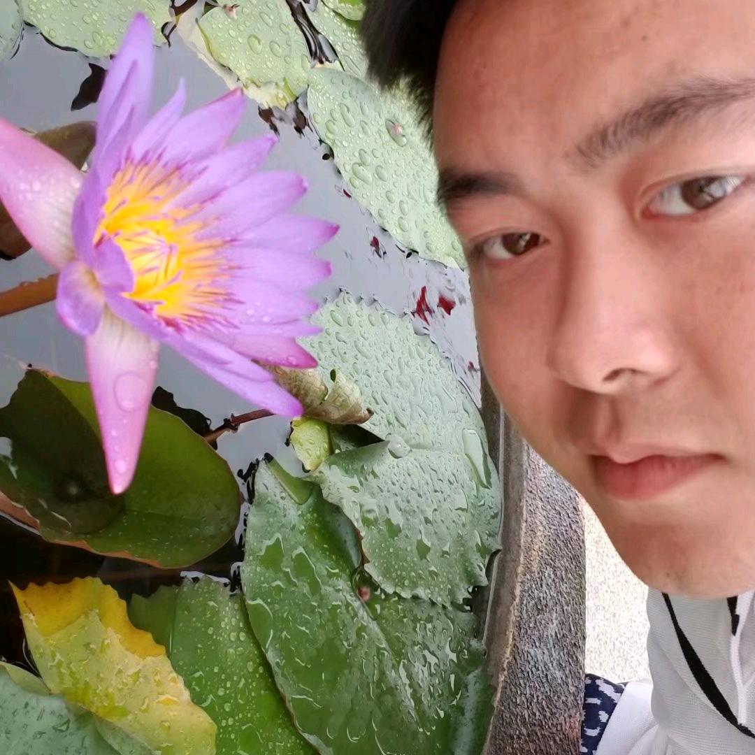 霧里看花