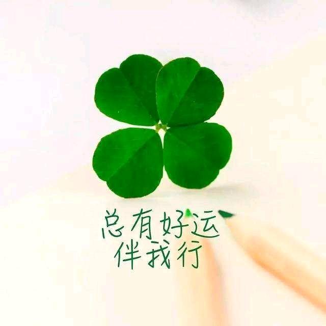 🍎宁静致远🍎